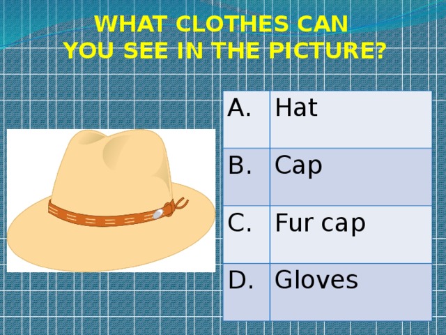 WHAT CLOTHES CAN YOU SEE IN THE PICTURE? A. Hat B. Cap C. Fur cap D. Gloves 