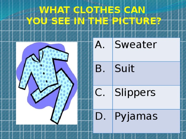 WHAT CLOTHES CAN YOU SEE IN THE PICTURE? A. Sweater B. Suit C. Slippers D. Pyjamas 