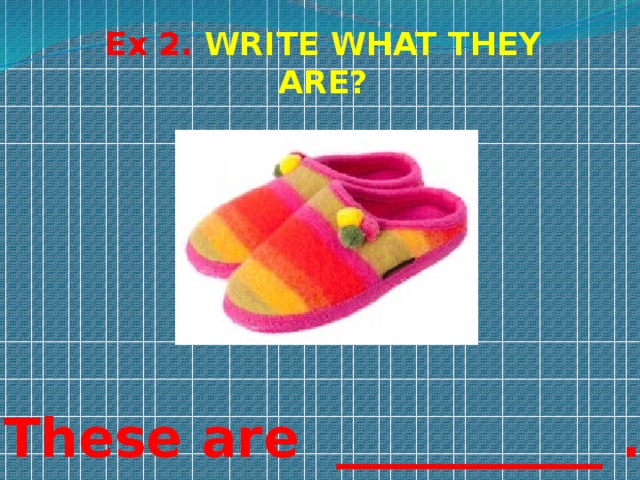 Ex 2. WRITE WHAT THEY ARE? These are __________ . 