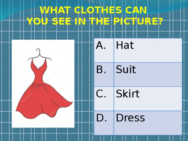 WHAT CLOTHES CAN YOU SEE IN THE PICTURE? A. Hat B. Suit C. Skirt D. Dress 
