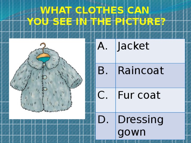 WHAT CLOTHES CAN YOU SEE IN THE PICTURE? A. Jacket B. Raincoat C. Fur coat D. Dressing gown 