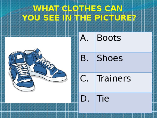 WHAT CLOTHES CAN YOU SEE IN THE PICTURE? A. Boots B. Shoes C. Trainers D. Tie 