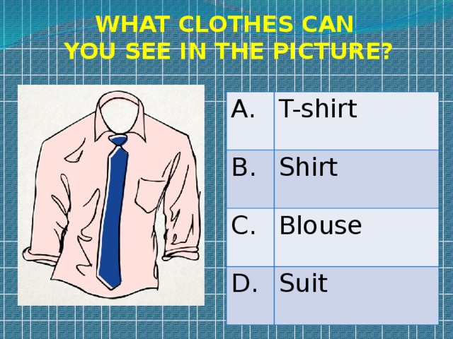 WHAT CLOTHES CAN YOU SEE IN THE PICTURE? A. T-shirt B. Shirt C. Blouse D. Suit 