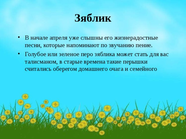 Зяблик В начале апреля уже слышны его жизнерадостные песни, которые напоминают по звучанию пение. Голубое или зеленое перо зяблика может стать для вас талисманом, в старые времена такие перышки считались оберегом домашнего очага и семейного 