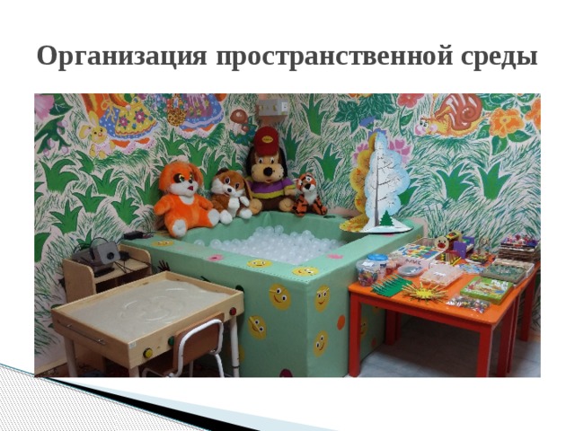 Организация пространственной среды 