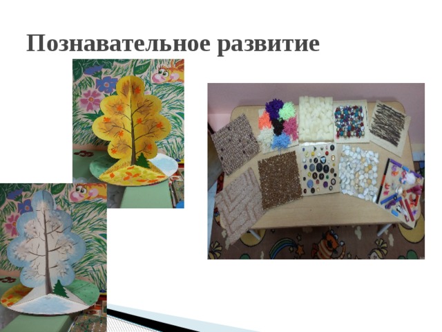 Познавательное развитие 