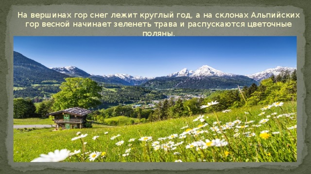 Хорошо весной в горах впр. Хорошо весной в горах на склонах. Весной в горах запестрели цветами. Склоны запестрели цветами. Хорошо весной в горах на зеленых склонах пестреют цветы.