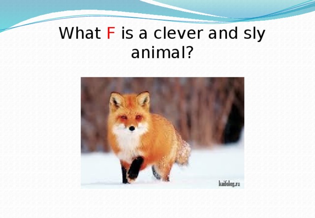 What F is a clever and sly animal? 