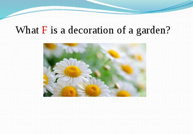  What F is a decoration of a garden? 