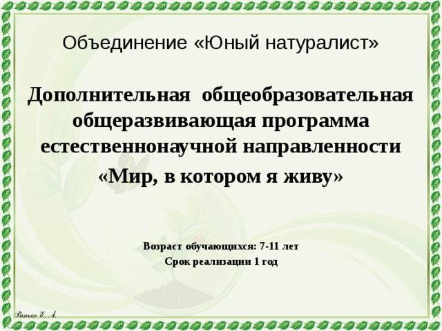 Презентация дополнительной общеразвивающей программы