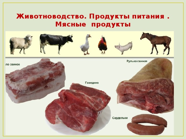 Животноводство. Продукты питания .  Мясные продукты 