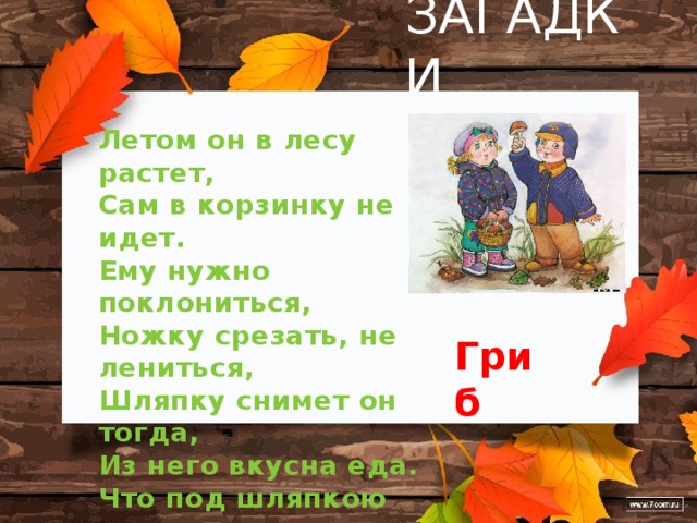 ЗАГАДКИ Летом он в лесу растет,  Сам в корзинку не идет.  Ему нужно поклониться,  Ножку срезать, не лениться,  Шляпку снимет он тогда,  Из него вкусна еда.  Что под шляпкою растет,  Сам в корзинку не идет? Гриб 