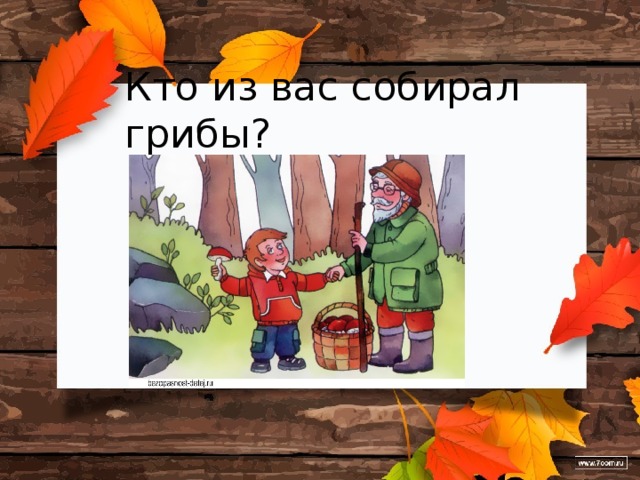 Кто из вас собирал грибы? 