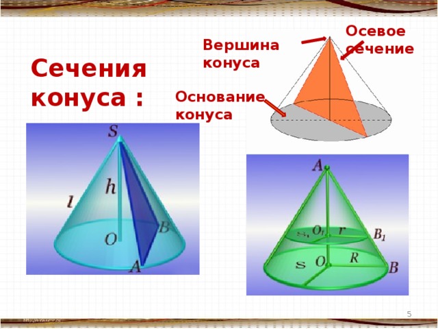 Осевое сечение Вершина конуса Сечения конуса : Основание конуса  