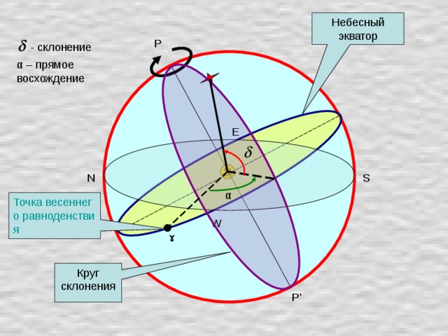 Небесный экватор P  - склонение α – прямое восхождение E N S α Точка весеннего равноденствия W ɤ Круг склонения P’ 12 