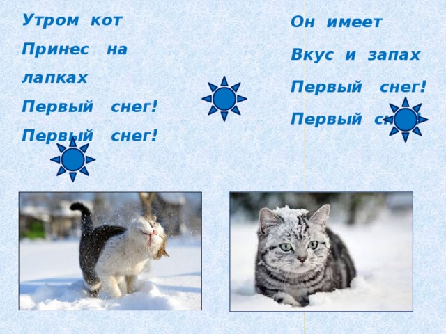 Кот принес на лапах первый снег