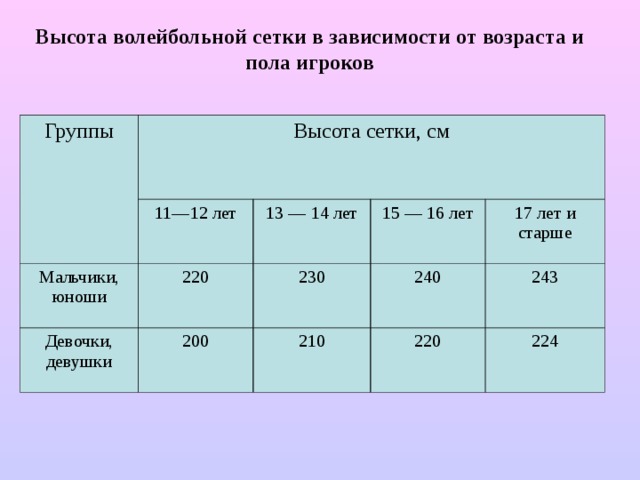 Высота волейбольной сетки