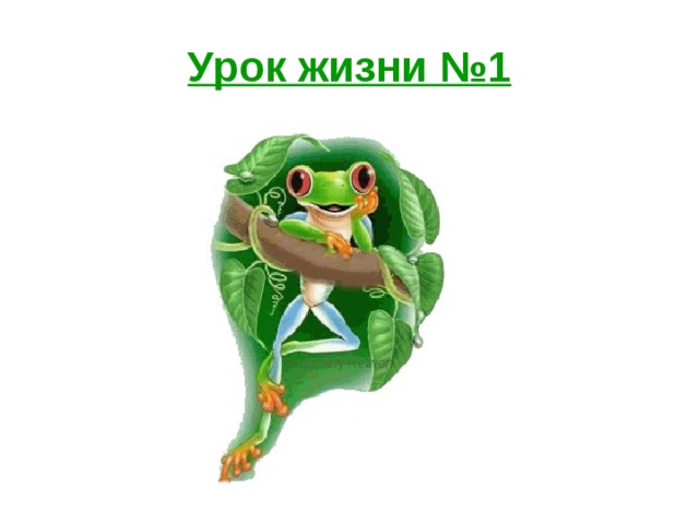 Урок жизни №1 