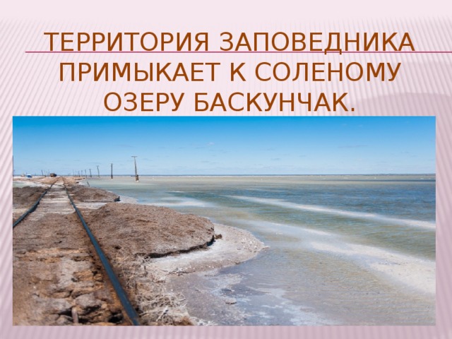Территория заповедника примыкает к соленому озеру Баскунчак. 