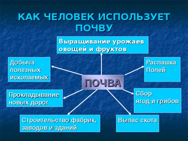 КАК ЧЕЛОВЕК ИСПОЛЬЗУЕТ ПОЧВУ Выращивание урожаев овощей и фруктов Распашка Полей  Добыча полезных ископаемых ПОЧВА Сбор ягод и грибов Прокладывание новых дорог Строительство фабрик, заводов и зданий Выпас скота  