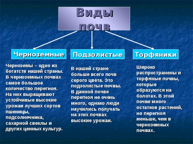 Виды почв Черноземные Подзолистые Торфяники Черноземы – одно из богатств нашей страны. В черноземных почвах самое большое количество перегноя. На них выращивают устойчивые высокие урожаи лучших сортов пшеницы, подсолнечника, сахарной свеклы и других ценных культур. Широко распространены и торфяные почвы, которые образуются на болотах. В этой почве много остатков растений, но перегноя меньше, чем в черноземных почвах. В нашей стране больше всего почв серого цвета. Это подзолистые почвы. В данной почве перегноя не очень много, однако люди научились получать на этих почвах высокие урожаи. 