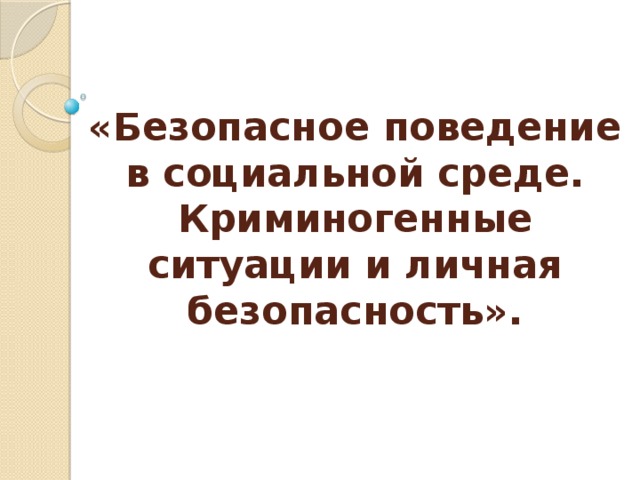 «Безопасное поведение в социальной среде. Криминогенные ситуации и личная безопасность». 