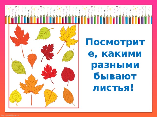 Изображения учит видеть. Мастер изображения учит видеть. Урок в 1 классе мастер изображения учит видеть. Изо 1 класс школа России мастер изображения учит видеть.. Мастер изображения учит видеть изо 1 класс конспект.