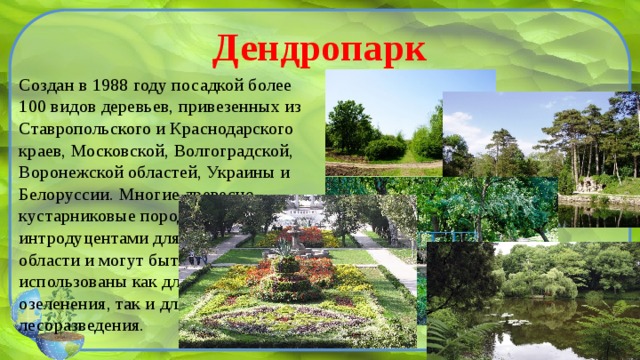 Карта дендрария краснодар