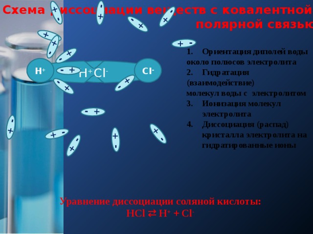 Схема диссоциации веществ с ковалентной полярной связью + - + - + + - - + - + - + + - + - - + + - + - + - + - + - - + - - + Ориентация диполей воды около полюсов электролита Гидратация (взаимодействие) молекул воды с электролитом Ионизация молекул электролита Диссоциация (распад) кристалла электролита на гидратированные ионы   H + Cl - Н +  Cl - H +  Cl - Уравнение диссоциации соляной кислоты: НCl ⇄ Н + + Cl - 