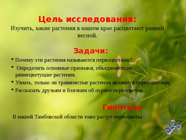 Задача про весну. Какие признаки объединяют все растения. Определите цветы которые не являются первоцветами. Почему многие травянистые растения зацветают ранней весной?. Структура весенней задачи.