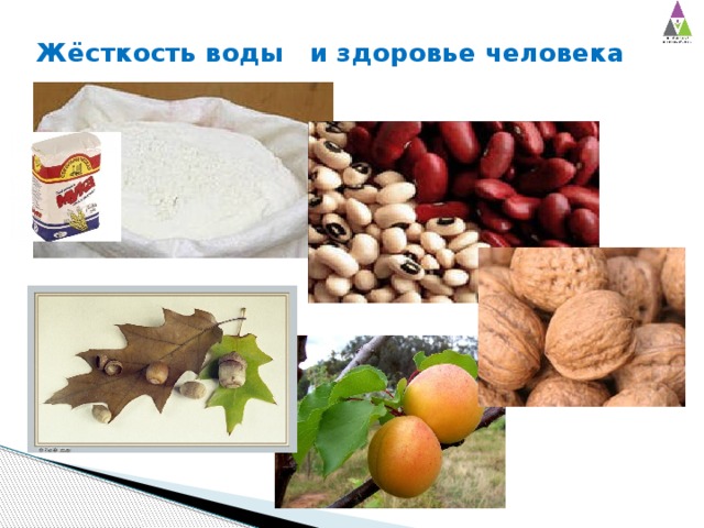 Жёсткость воды и здоровье человека 