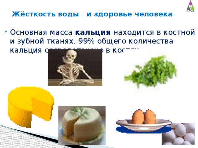 Жёсткость воды и здоровье человека Основная масса кальция находится в костной и зубной тканях. 99% общего количества кальция сосредоточено в костях 