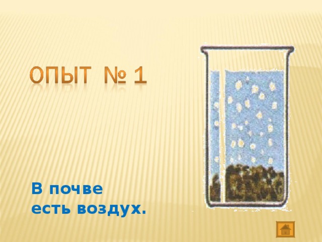 В почве есть ответ