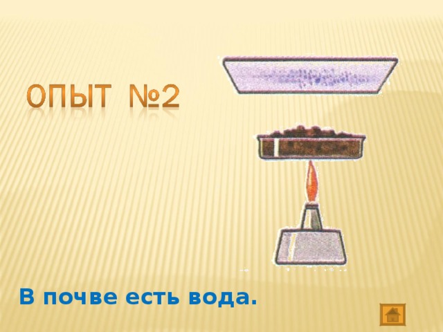 Ход опыта по обнаружению воды в почве рисунок 3 класс