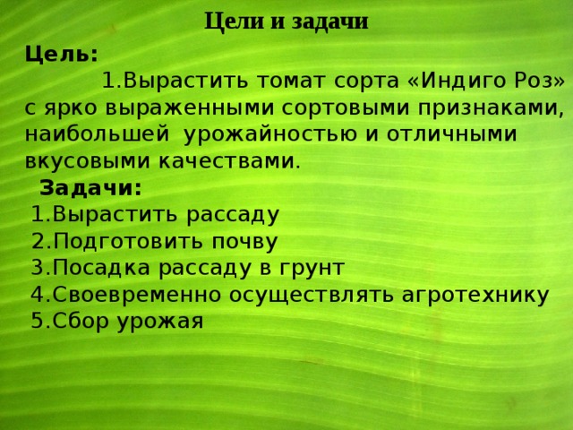 Цели и задачи Цель:   1.Вырастить томат сорта «Индиго Роз» с ярко выраженными сортовыми признаками, наибольшей урожайностью и отличными вкусовыми качествами.  Задачи:  1.Вырастить рассаду  2.Подготовить почву  3.Посадка рассаду в грунт  4.Своевременно осуществлять агротехнику  5.Сбор урожая 