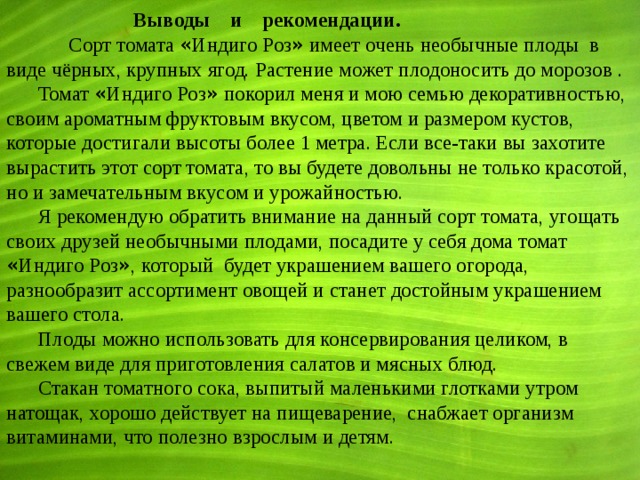   Выводы и рекомендации.  Сорт томата « Индиго Роз » имеет очень необычные плоды в виде чёрных, крупных ягод. Растение может плодоносить до морозов . Томат « Индиго Роз » покорил меня и мою семью декоративностью, своим ароматным фруктовым вкусом, цветом и размером кустов, которые достигали высоты более 1 метра. Если все-таки вы захотите вырастить этот сорт томата, то вы будете довольны не только красотой, но и замечательным вкусом и урожайностью. Я рекомендую обратить внимание на данный сорт томата, угощать своих друзей необычными плодами, посадите у себя дома томат « Индиго Роз » , который будет украшением вашего огорода, разнообразит ассортимент овощей и станет достойным украшением вашего стола. Плоды можно использовать для консервирования целиком, в свежем виде для приготовления салатов и мясных блюд. Стакан томатного сока, выпитый маленькими глотками утром натощак, хорошо действует на пищеварение, снабжает организм витаминами, что полезно взрослым и детям. 