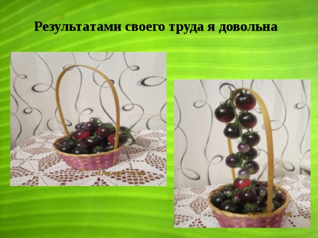Результатами своего труда я довольна 