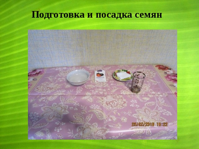 Подготовка и посадка семян  
