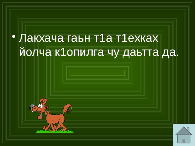 Лакхача гаьн т1а т1ехках йолча к1опилга чу даьтта да. 