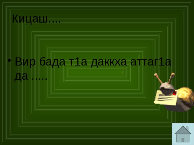 Кицаш.... Вир бада т1а даккха аттаг1а да ..... 