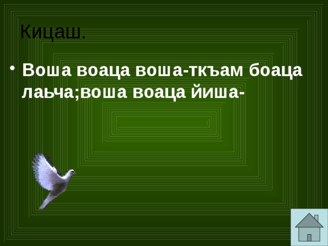 Кицаш. Воша воаца воша-ткъам боаца лаьча;воша воаца йиша- 