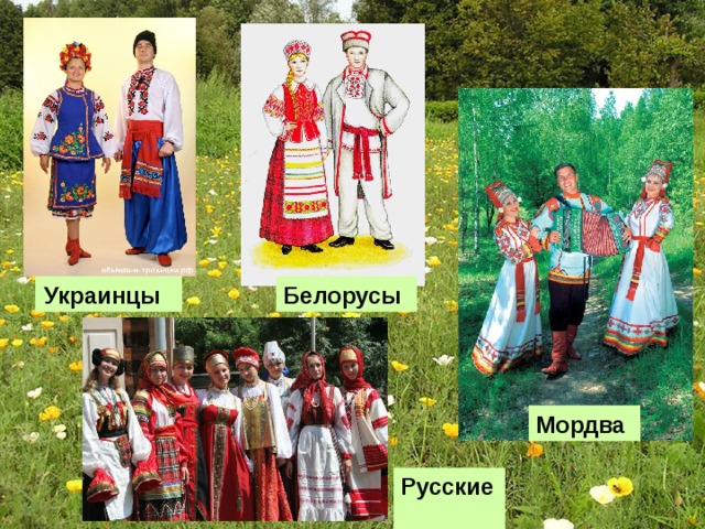 Мордва  Белорусы  Украинцы  Русские  