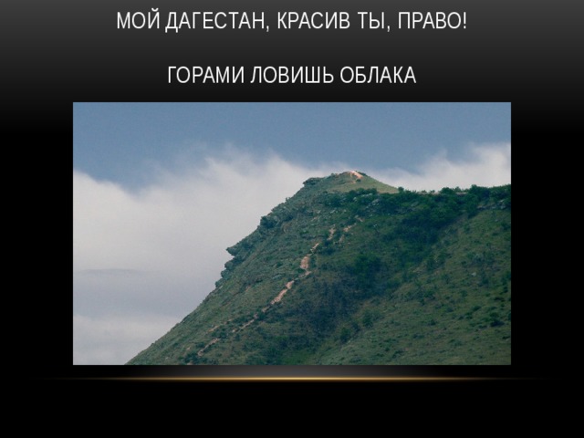 Мой Дагестан, красив ты, право!   Горами ловишь облака 