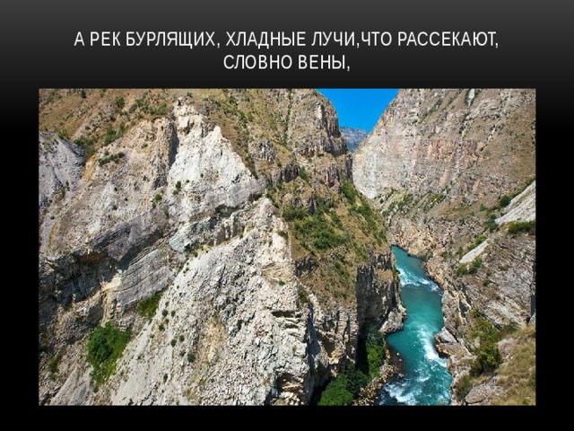 А рек бурлящих, хладные лучи,Что рассекают, словно вены, 