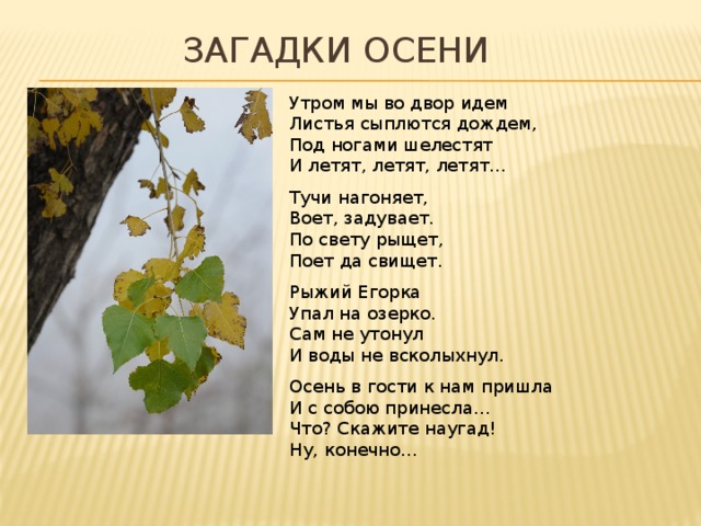 Песня осень осень наступила листья осыпаются. Утром мы во двор идём листья сыплются. Загадки про листья. Загадки на листочке. Загадки про листья для детей.