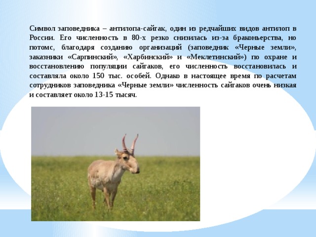 Символ заповедника – антилопа-сайгак, один из редчайших видов антилоп в России. Его численность в 80-х резко снизилась из-за браконьерства, но потомс, благодаря созданию организаций (заповедник «Черные земли», заказники «Сарпинский», «Харбинский» и «Меклетинский») по охране и восстановлению популяции сайгаков, его численность восстановилась и составляла около 150 тыс. особей. Однако в настоящее время по расчетам сотрудников заповедника «Черные земли» численность сайгаков очень низкая и составляет около 13-15 тысяч. 