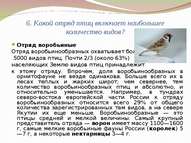 6. Какой отряд птиц включает наибольшее количество видов? Отряд воробьиные Отряд воробьинообразных охватывает более  5000 видов птиц. Почти 2/3 (около 63%) населяющих Землю видов птиц принадлежит к этому отряду. Впрочем, доля воробьинообразных в орнитофауне не везде одинакова. Больше всего их в лесах теплых и жарких широт; чем севернее, тем количество воробьинообразных птиц и абсолютно, и относительно уменьшается. Например, в тундрах северо-востока европейской части России к отряду воробьинообразных относится всего 29% от общего количества зарегистрированных там видов, а на севере Якутии их еще меньше. Воробьинообразные — это птицы средней и мелкой величины. Самый крупный представитель отряда — ворон имеет массу 1100—1600 г, самые мелкие воробьиные фауны России ( королек ) 5—7 г, а некоторые нектарницы 3—4 г. 