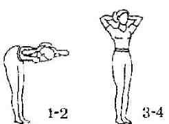 Упражнение 4 и 6. Стойка ноги врозь руки за голову. Наклоны вперед руки за головой. Исходное положение основная стойка руки за голову. Наклоны вперед с руками за головой и.п.