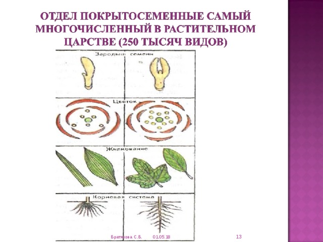  01.05.18 Братякова С.Б. 