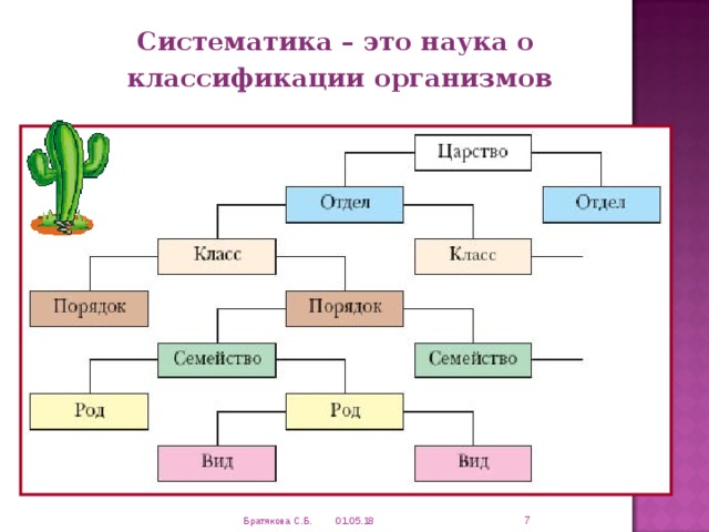 Систематика – это наука о  классификации организмов  01.05.18 Братякова С.Б. 